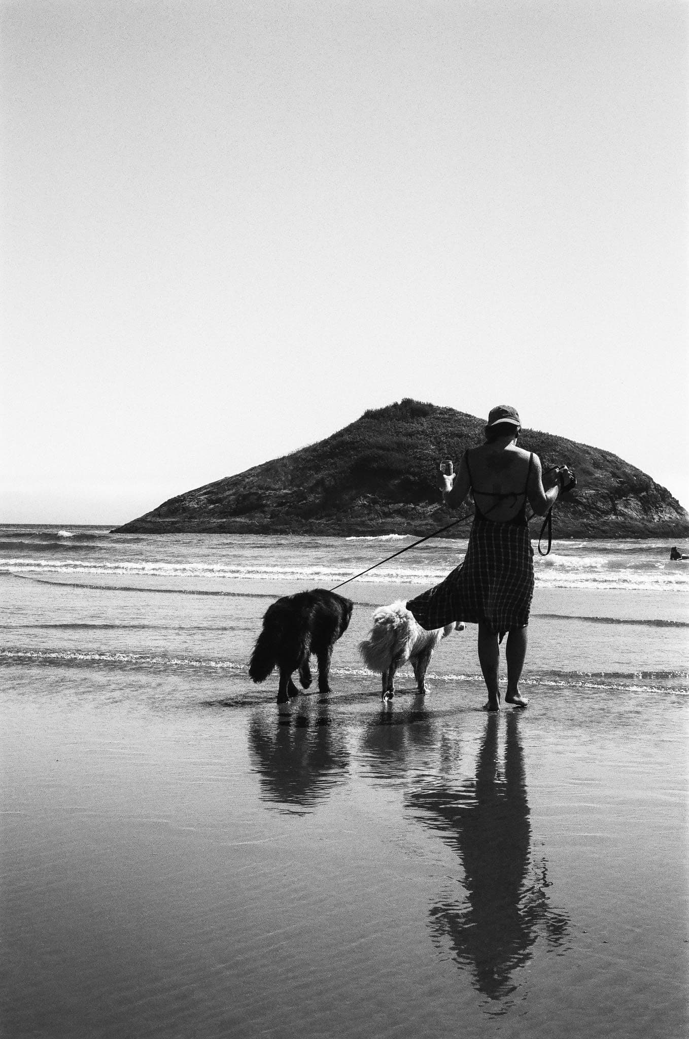 girl at the beach with dogs